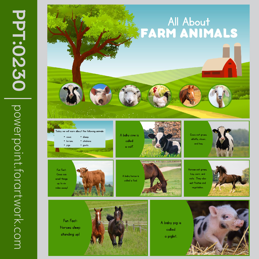 เทมเพลต PowerPoint เกษตรฟาร์มสัตว์เลี้ยง สีเขียวสวยๆ (0230)